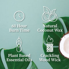 Hemlock Park giftable candle in velvet pouch and box for gifting
