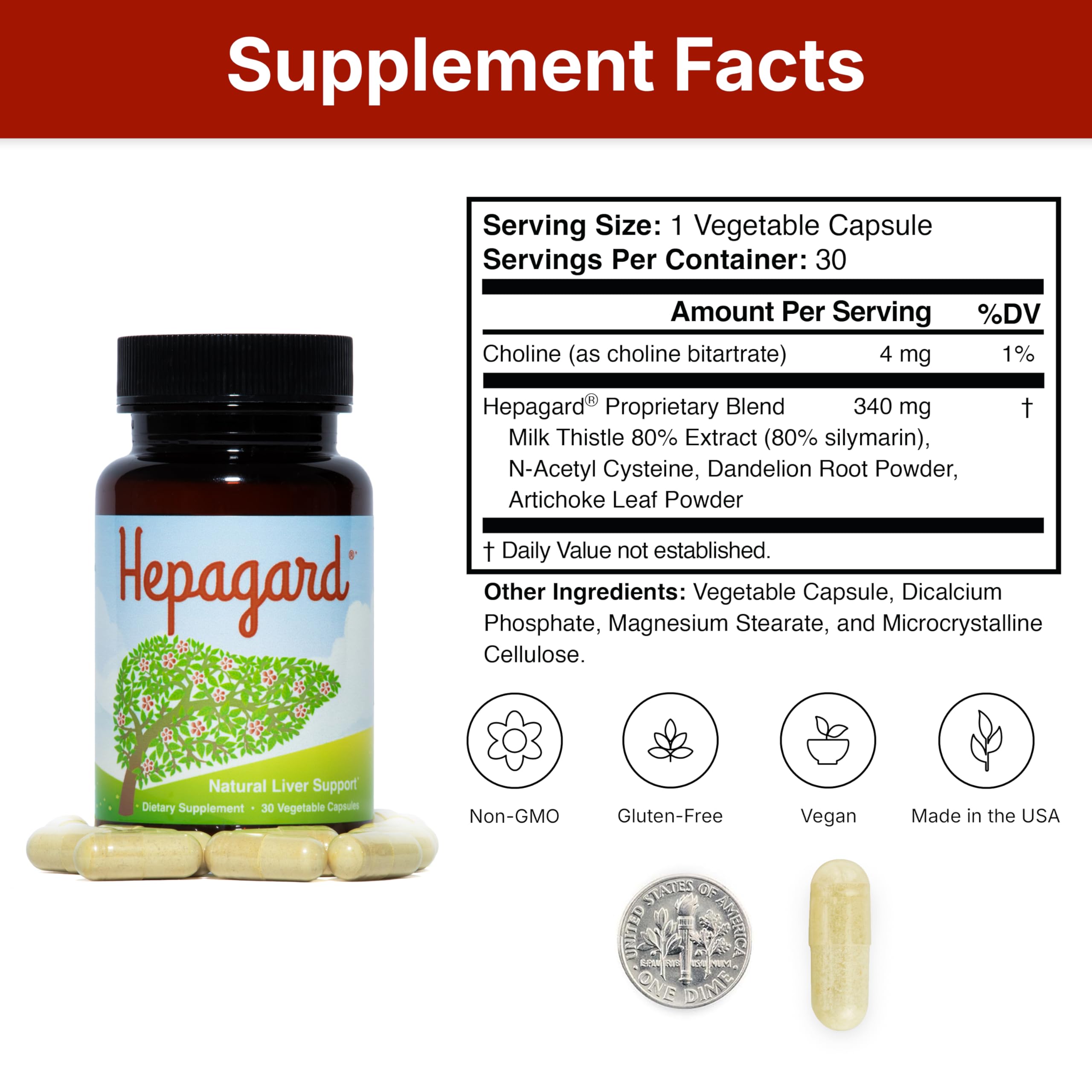 Hepagard choline bitartrate visual highlights essential nutrient support.