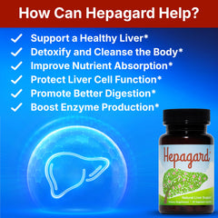 Hepagard NAC capsules close-up highlighting vegan, non-GMO formula.