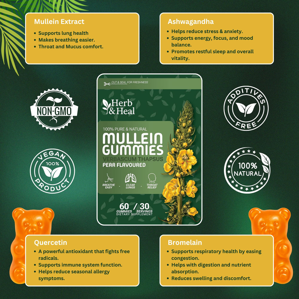 Ashwagandha alongside mullein gummies supporting balance and calm