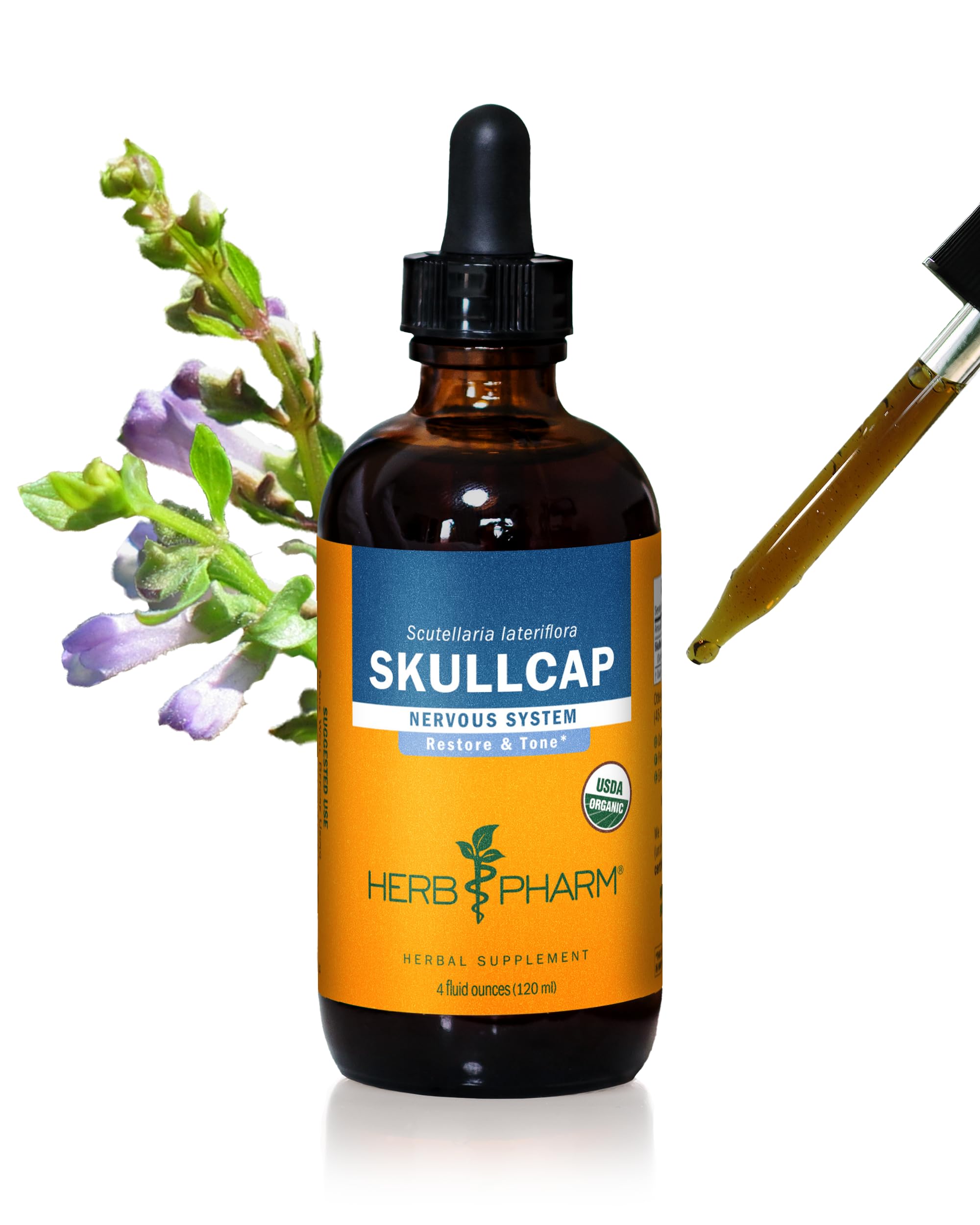Herb Pharm Skullcap liquid extract bottle shows convenient vial for nervous system support