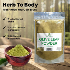 Herb To Body antioxidant-rich olive leaf powder for everyday use.