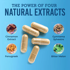 GlucoSuprs HRX gymnema ingredient visual highlights plant-based support.