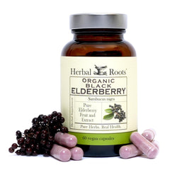 Herbal Roots Black Elderberry capsules bottle close-up highlighting immune support potential.