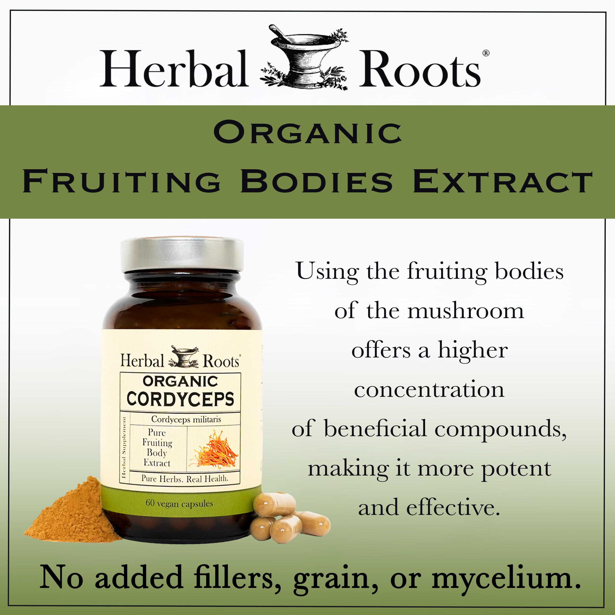 Herbal Roots Cordyceps capsules on wood surface for daily routine