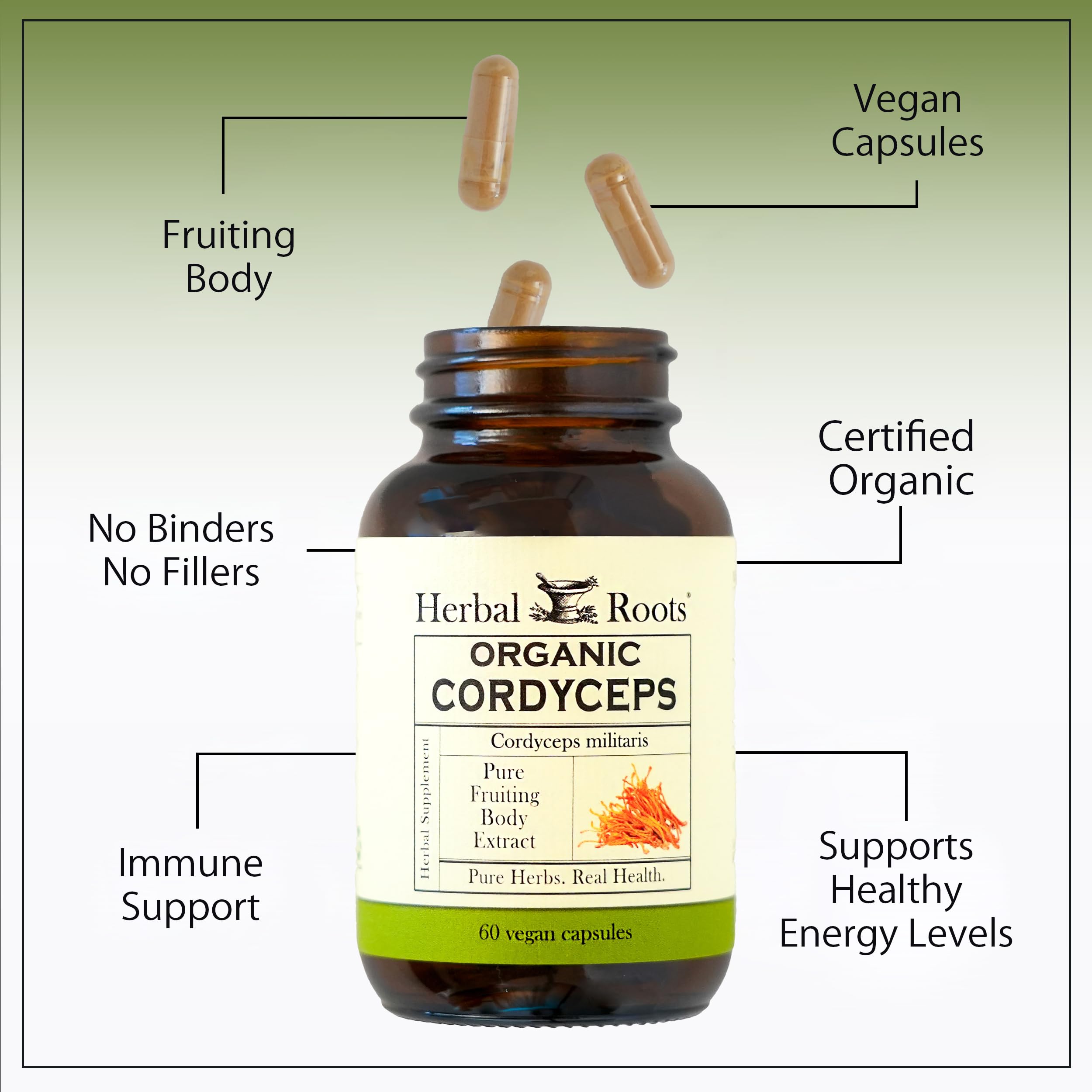 Herbal Roots Cordyceps ingredient list highlighting additive-free formula