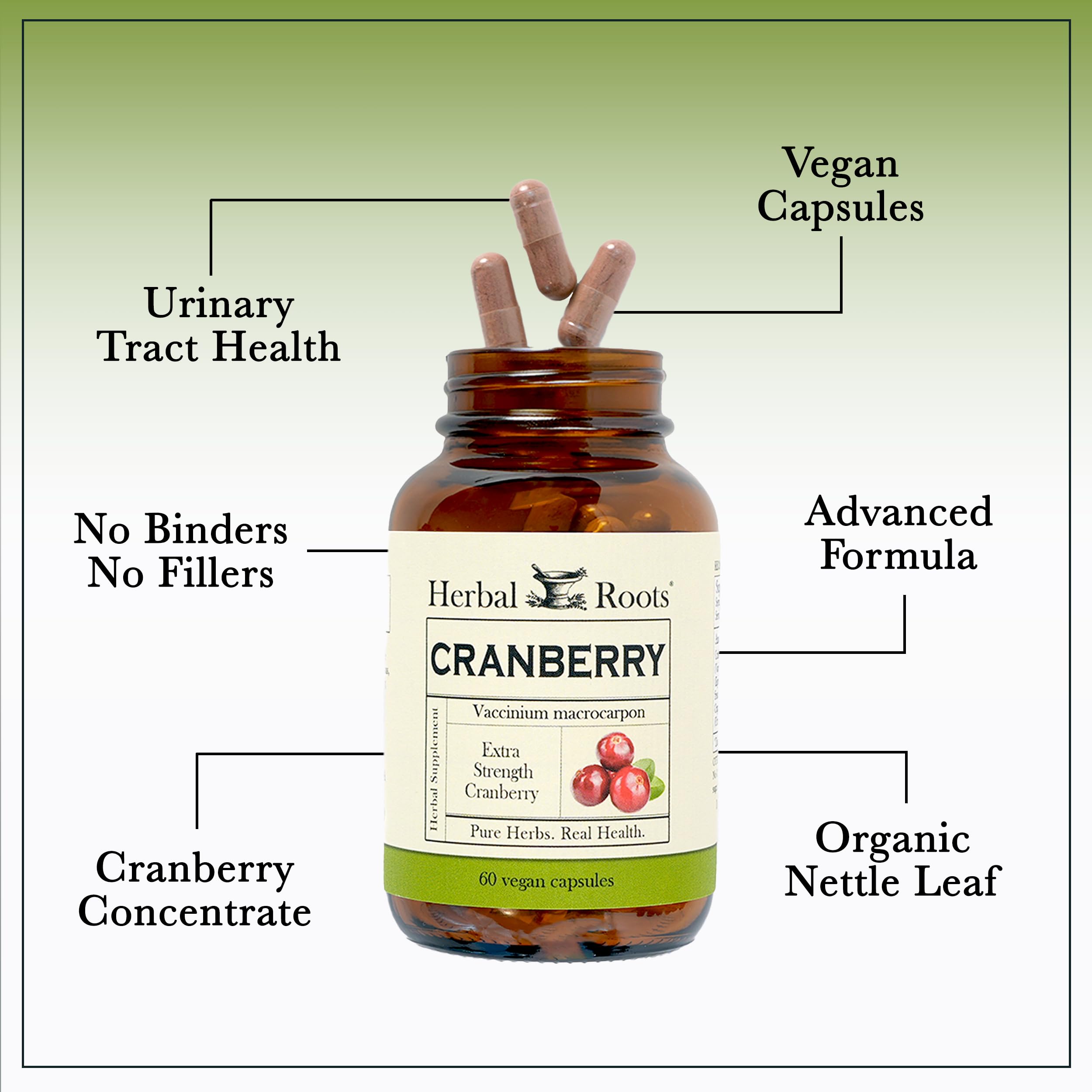 Herbal Roots cranberry pills organic nettle feature in the blend.