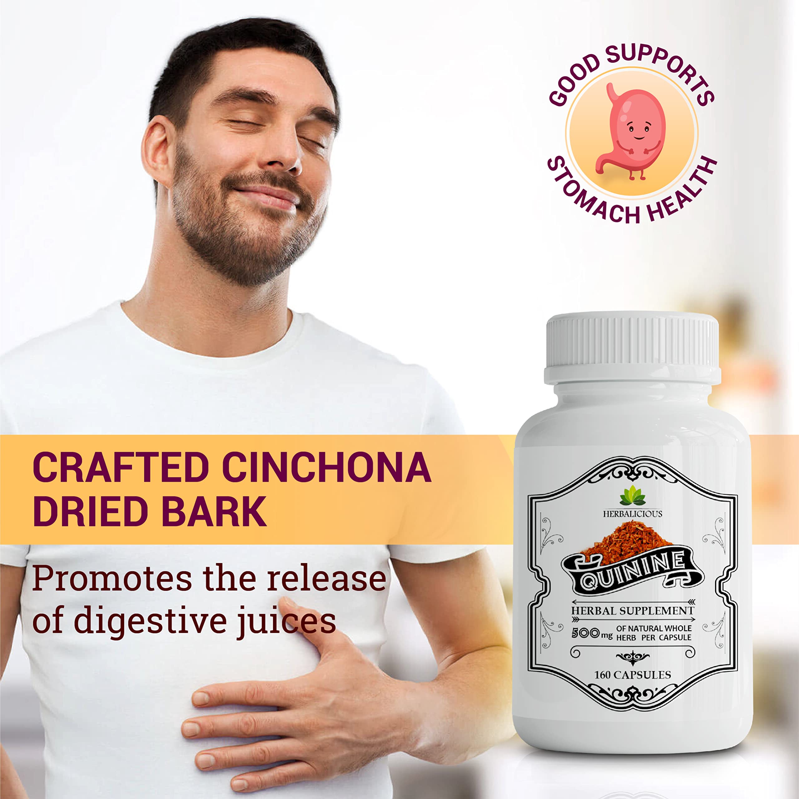 Herbalicious Cinchona bark illustration emphasizes traditional herbal roots for digestive flow.