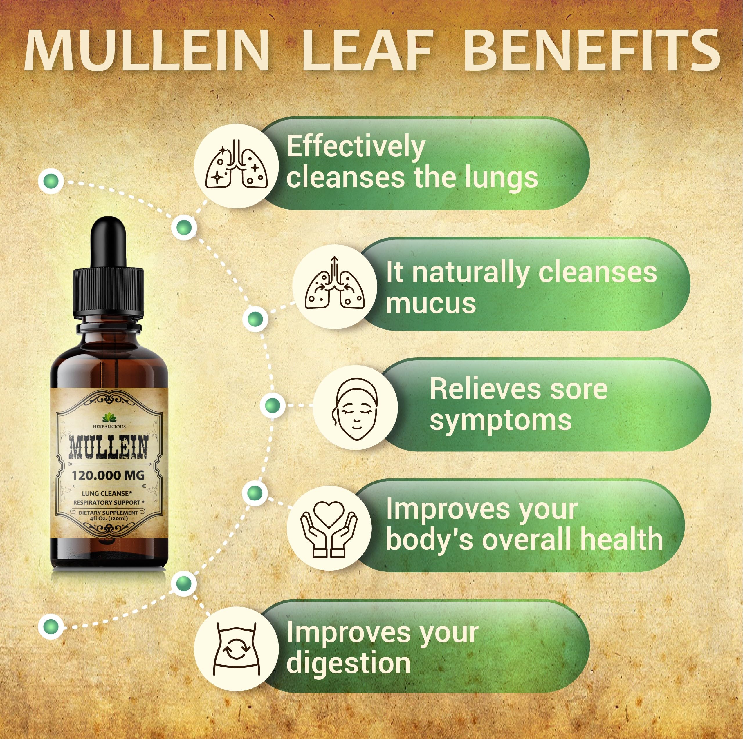 HERBALICIOUS Mullein Drops liquid formula ideal for on-the-go use.