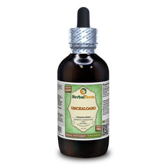 HerbalTerra Umckaloabo liquid extract bottle for convenient, alcohol-free herbal use.