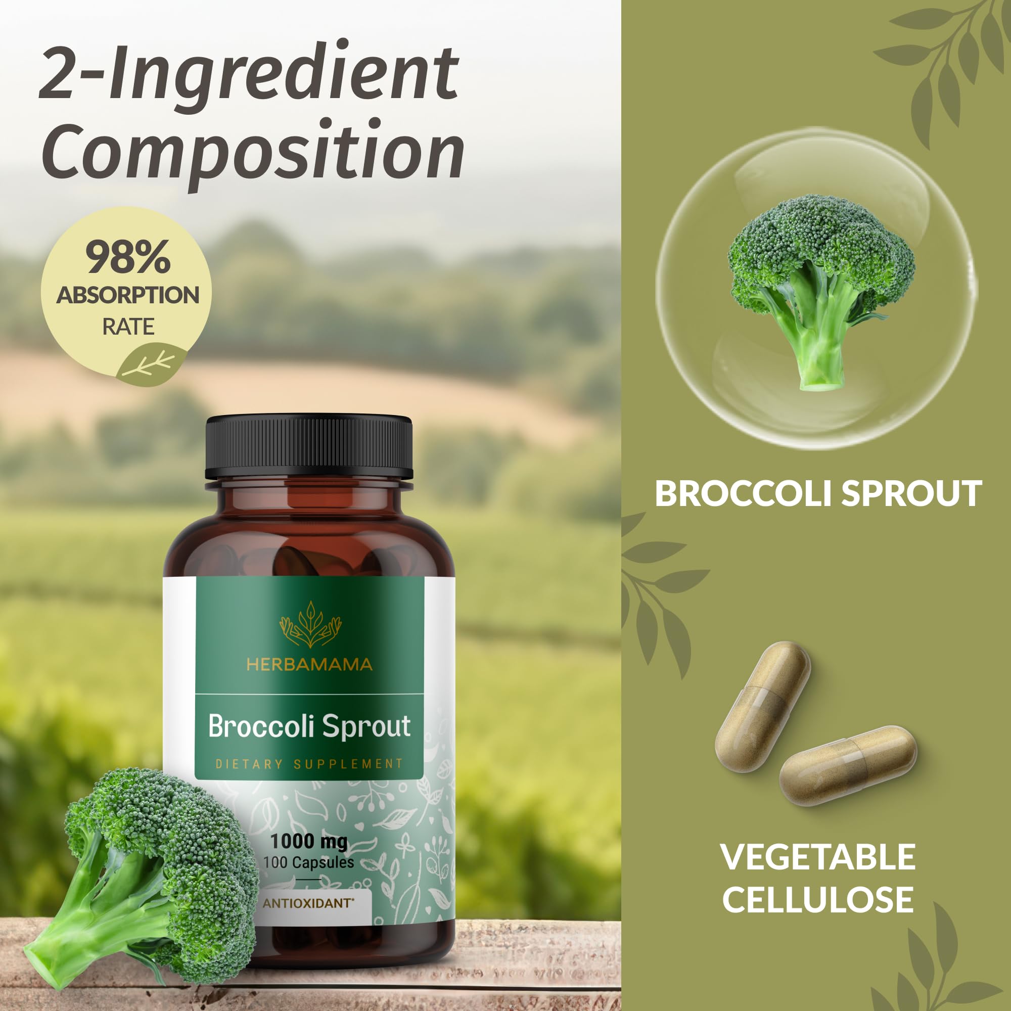 HERBAMAMA Broccoli Sprouts Capsules closeup of ingredients and two-ingredient formula