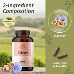 HERBAMAMA Chicory Root Fiber capsules in hand suggest easy daily intake.
