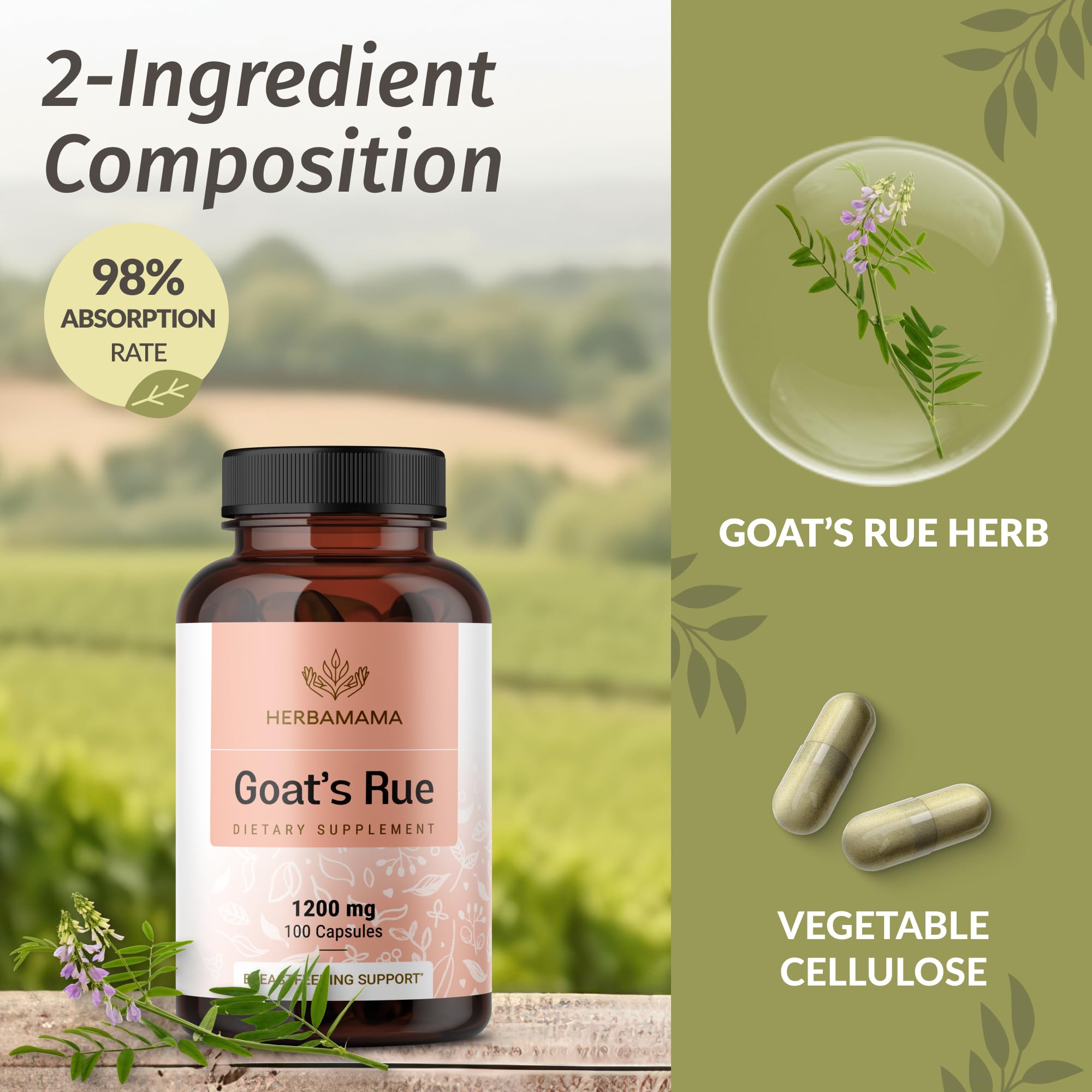 Herbamama goats rue capsules packaging on table for everyday lactation use