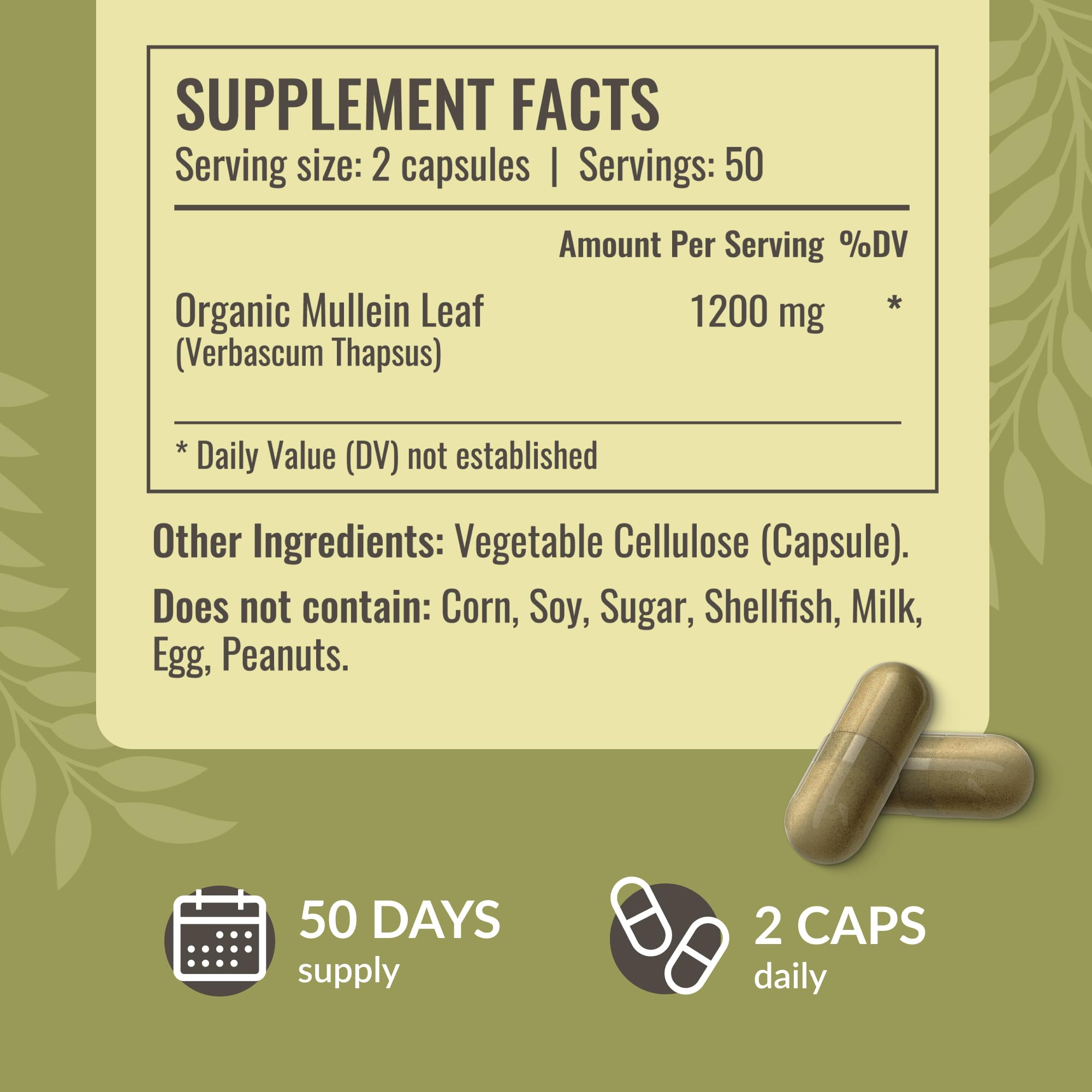 HERBAMAMA Mullein Leaf Capsules close-up label highlighting two-ingredient formula