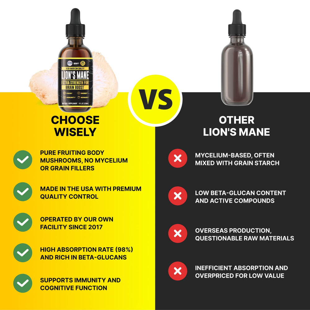 HERBIFY Lions Mane ingredients scene emphasizes wild mushroom extract.