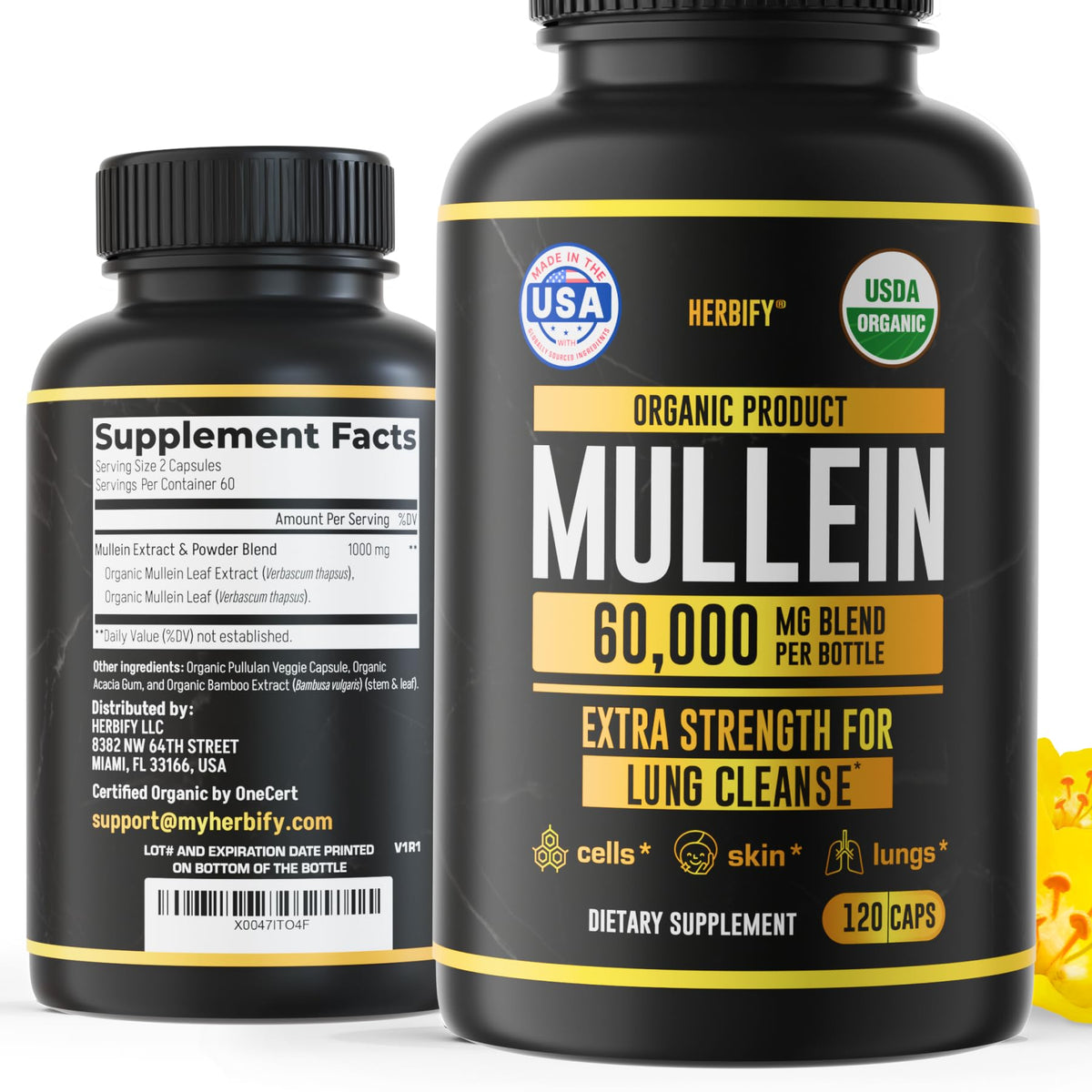 Herbify Mullein Capsules bottle front for lung wellness and daily support