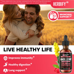 HERBIFY Mullein Drops leaf and flower extract close-up emphasizes natural ingredients for respiratory support.