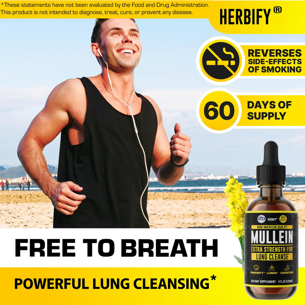 Herbify Mullein Drops leaf and flower image highlighting traditional herbs for everyday wellness.