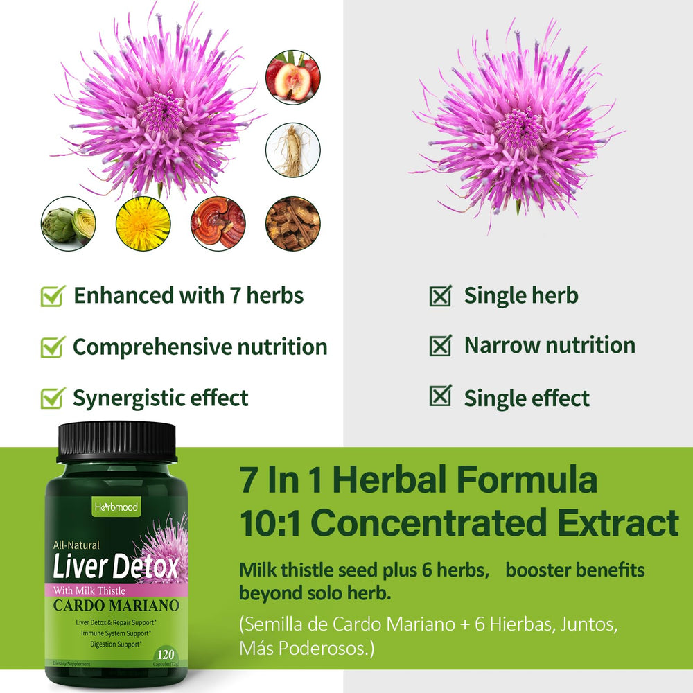 Herbmood reishi mushroom and ginseng blend for immune resilience