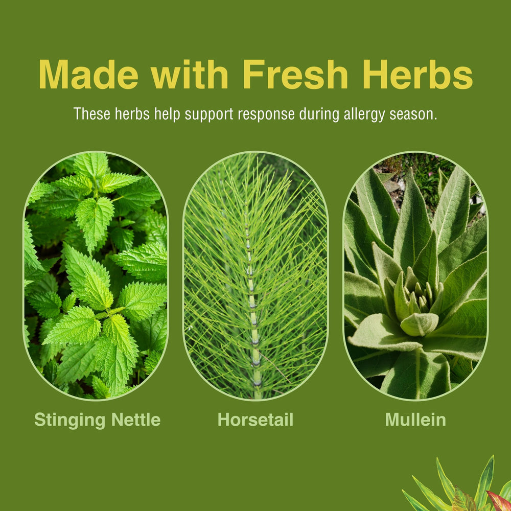 Herbs Etc. Allergy ReLeaf System in use by a family for seasonal comfort.