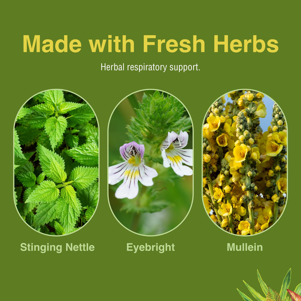 Horsetail in Allertonic completes the herbal blend