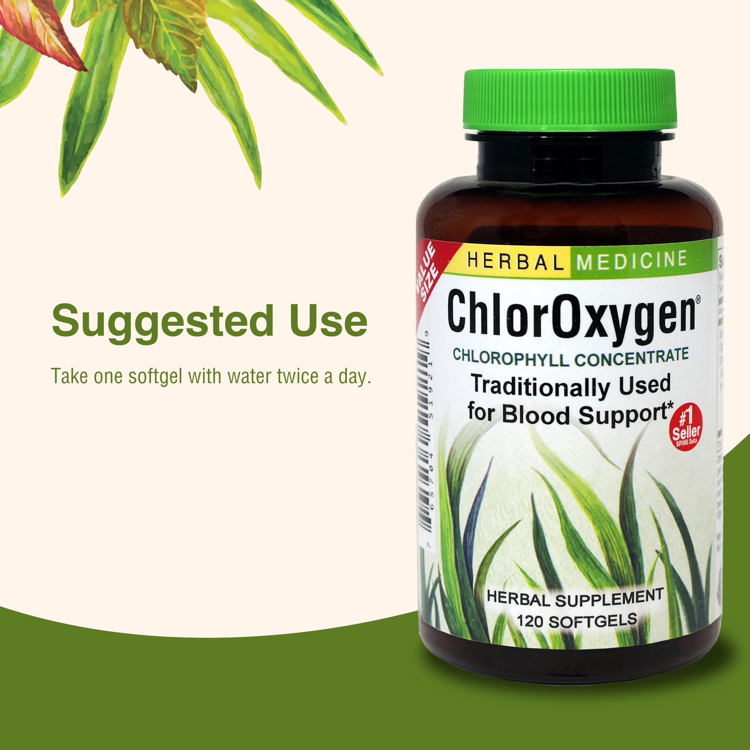 Herbs Etc. ChlorOxygen energy-support scene suggesting daytime use.