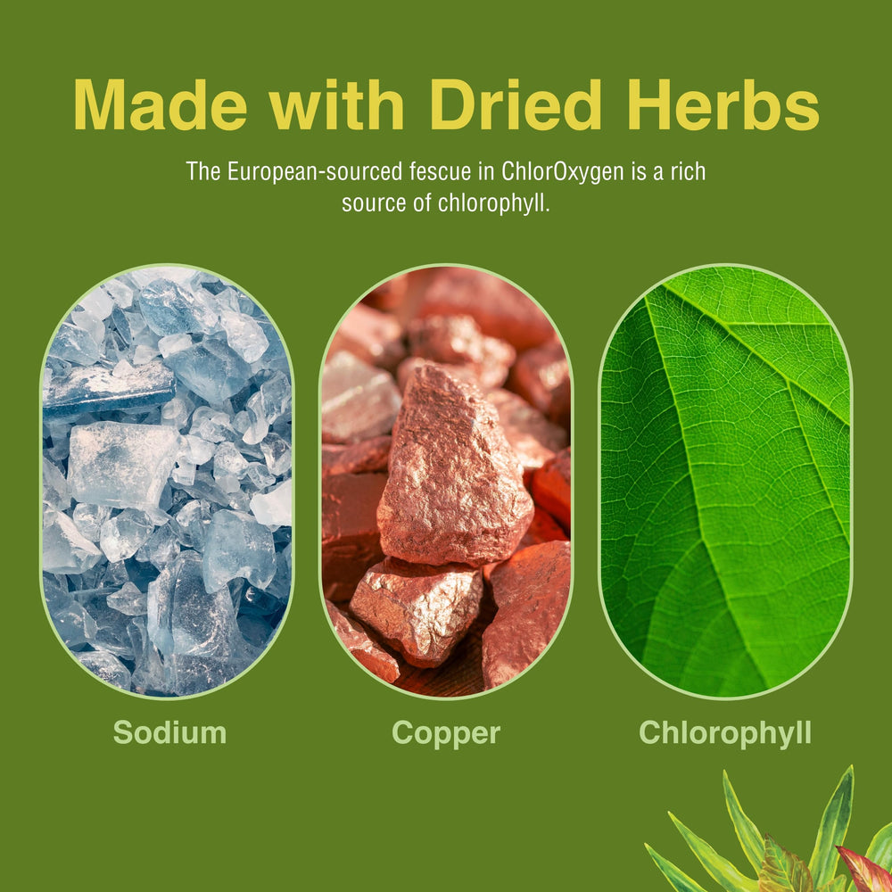 Illustration of European fescue chlorophyll source used in ChlorOxygen