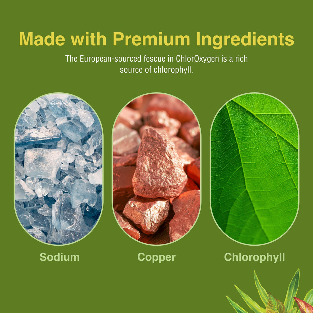 Herbs Etc. vegan and gluten-free label on ChlorOxygen packaging