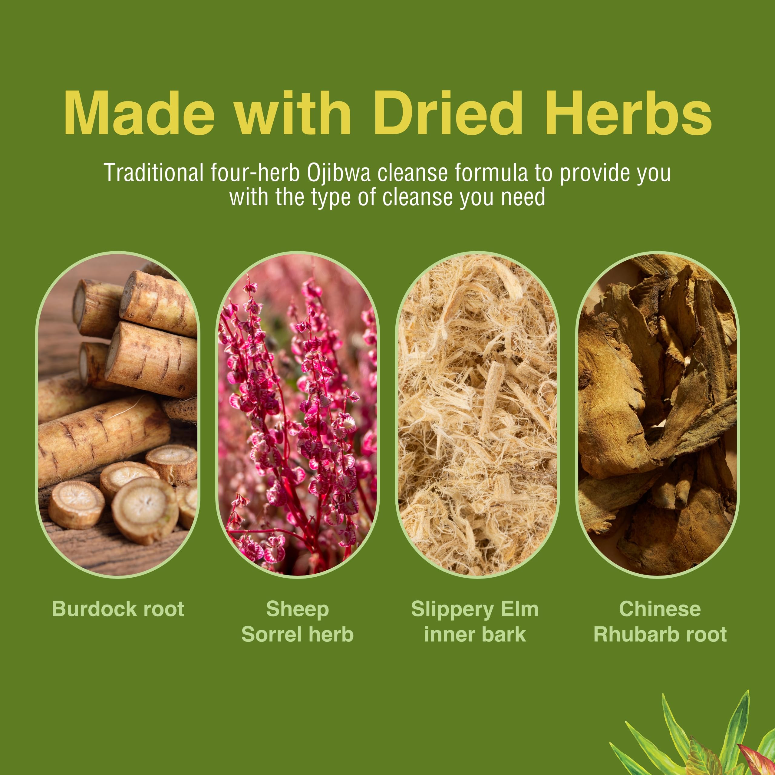 Herbs Etc. Essiac Tonic Softgels bottle with capsules ready to take.