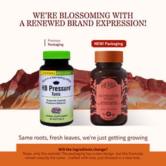 Herbs Etc HB Pressure Tonic softgels close-up showing texture for daily energy support.