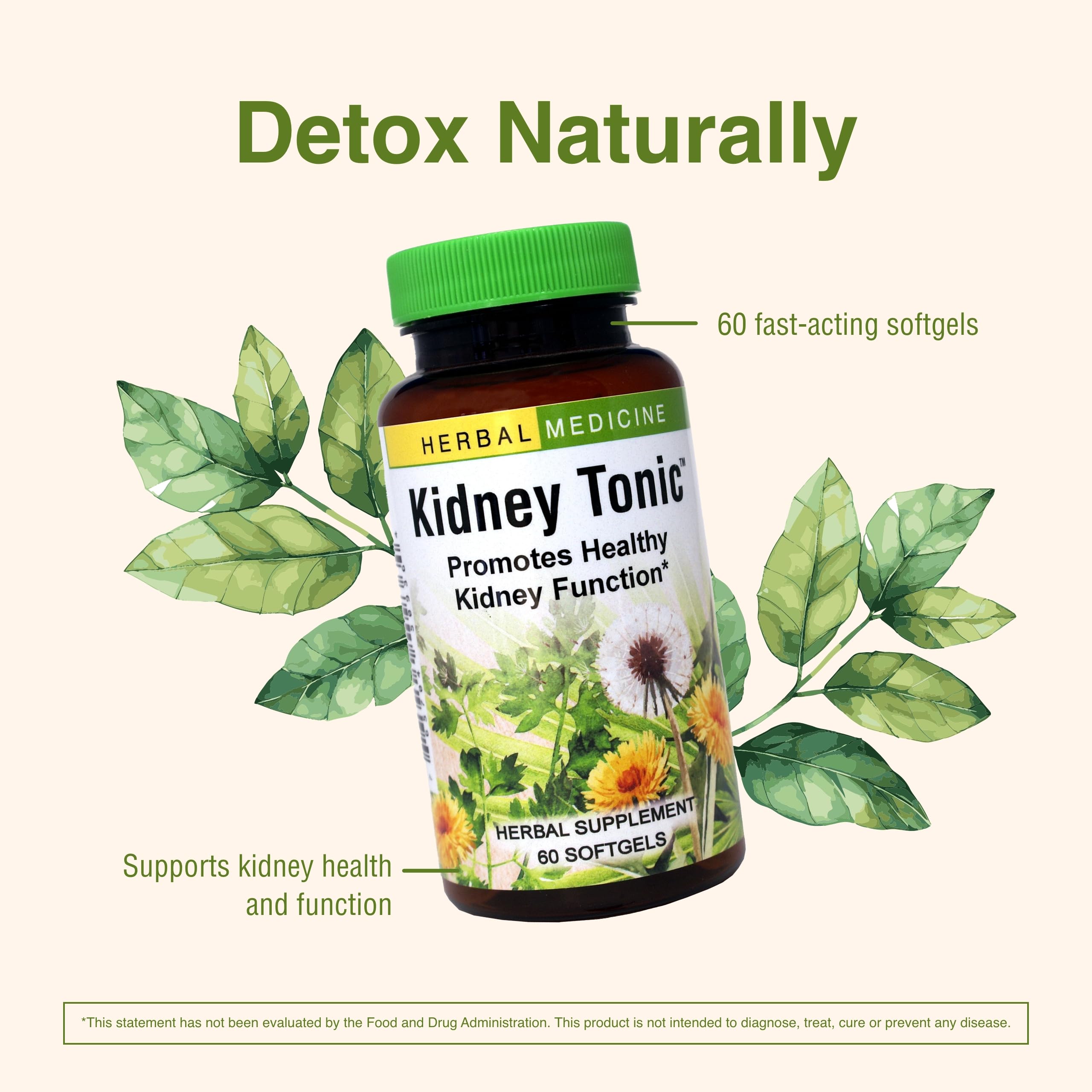 Herbs, Etc. Kidney Tonic saw palmetto close-up—classic herb in a gentle, natural blend