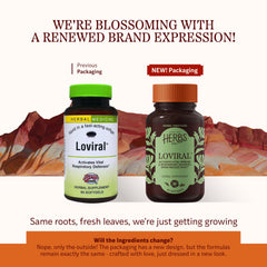 Loviral softgels closeup suggests easy daily dosing for respiratory wellness
