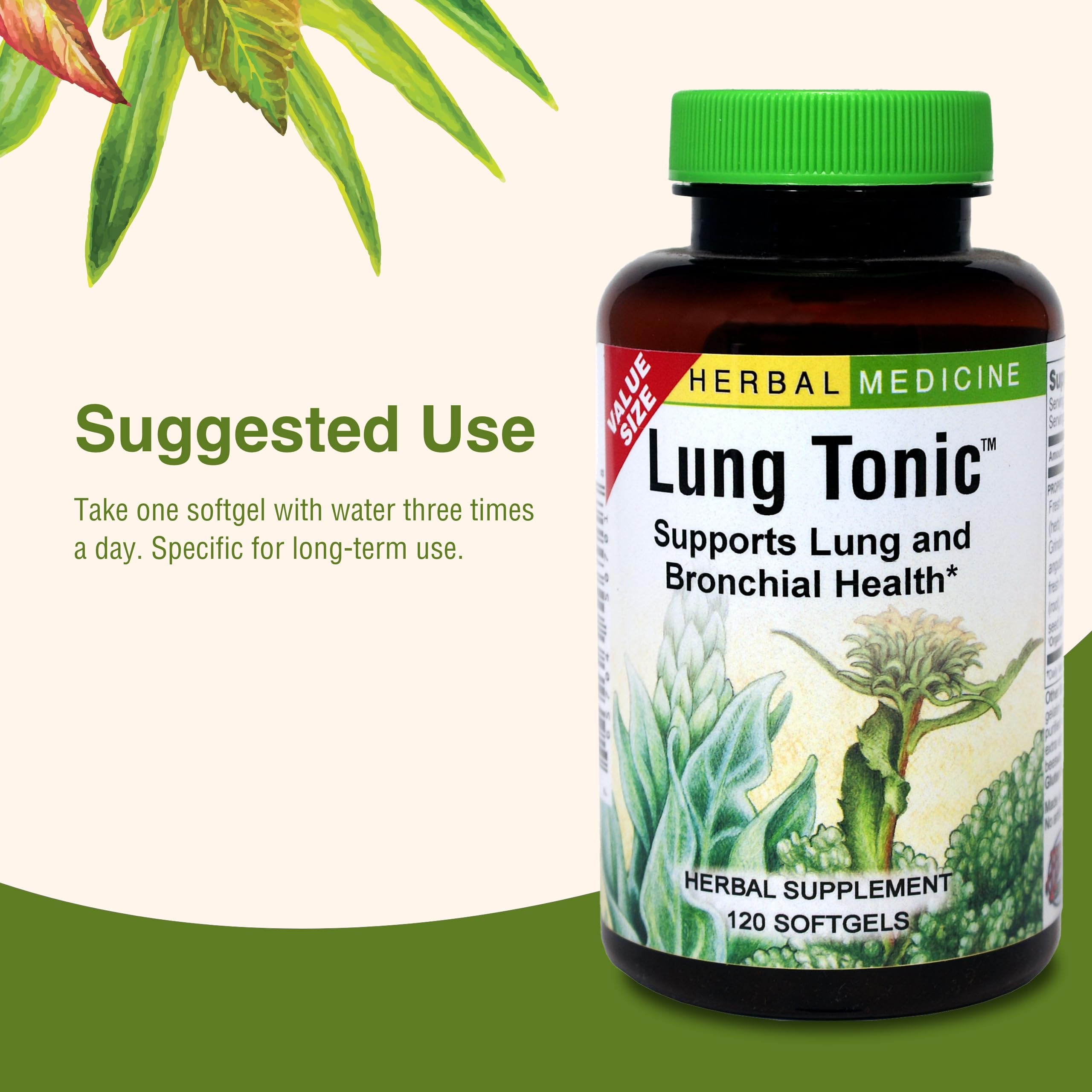 Herbs Etc. Lung Tonic packaging and branding.