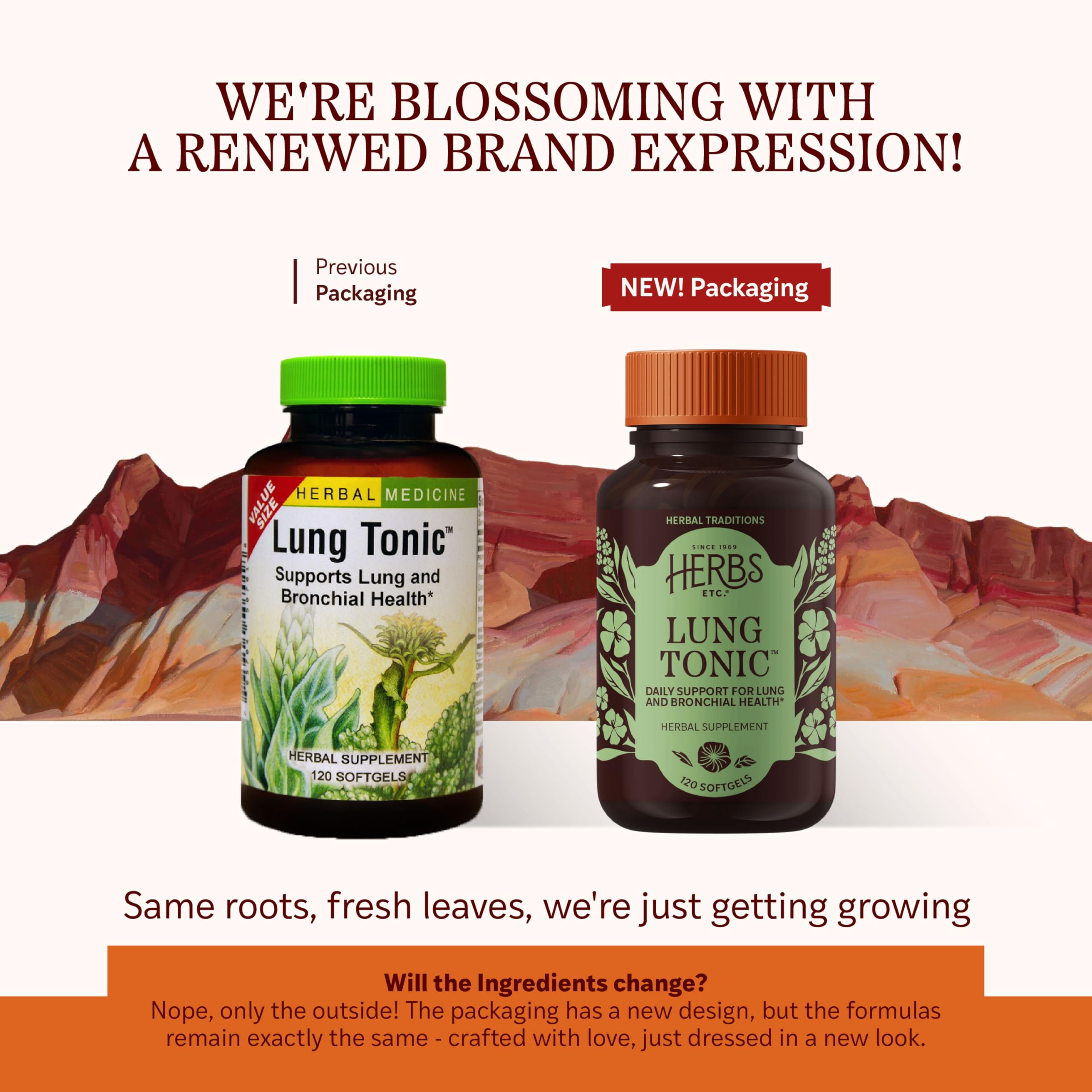 Herbs Etc. Lung Tonic softgel capsule indicating easy daily dosage.