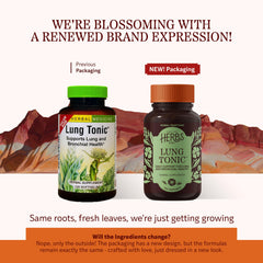 Herbs Etc. Lung Tonic softgel capsule indicating easy daily dosage.