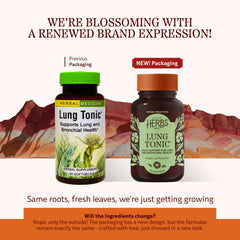Close-up of Herbs Etc. Lung Tonic softgels for bronchial support.