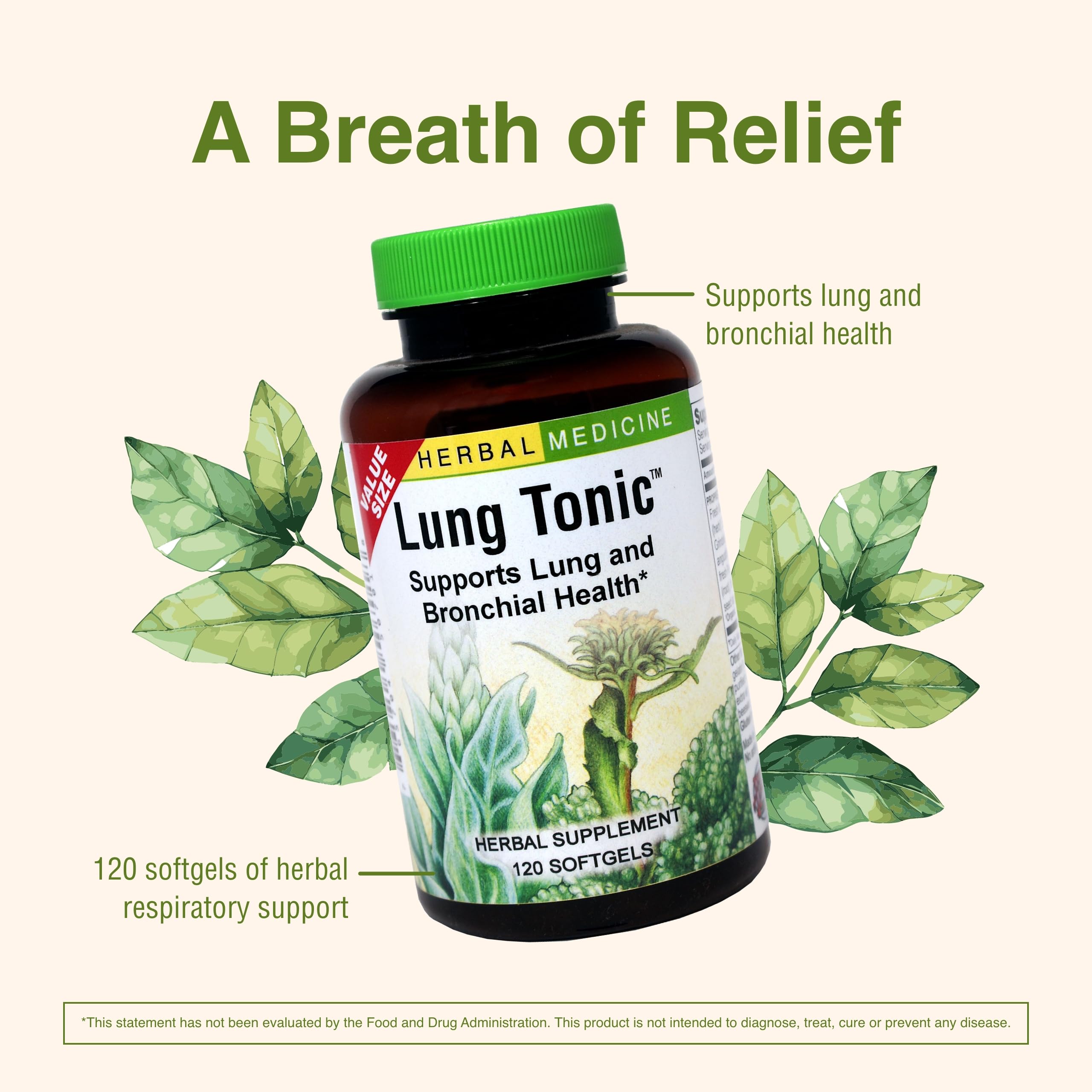 Herbs Etc. Lung Tonic taken with water illustrating simple routine.