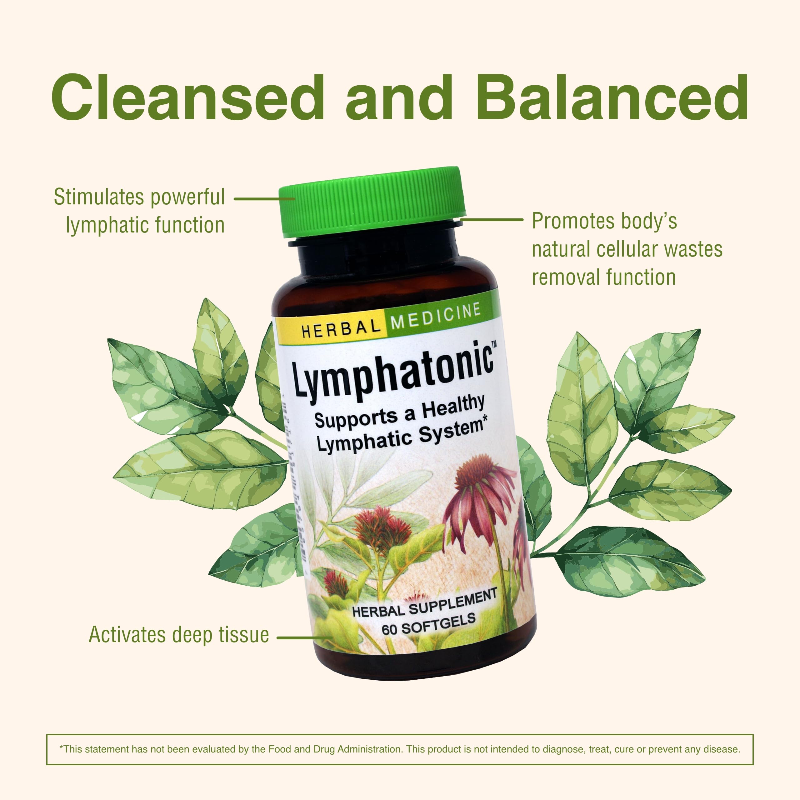 Herbs Etc Lymphatonic SG herbs close-up focusing on burdock root and licorice for herbal wellness