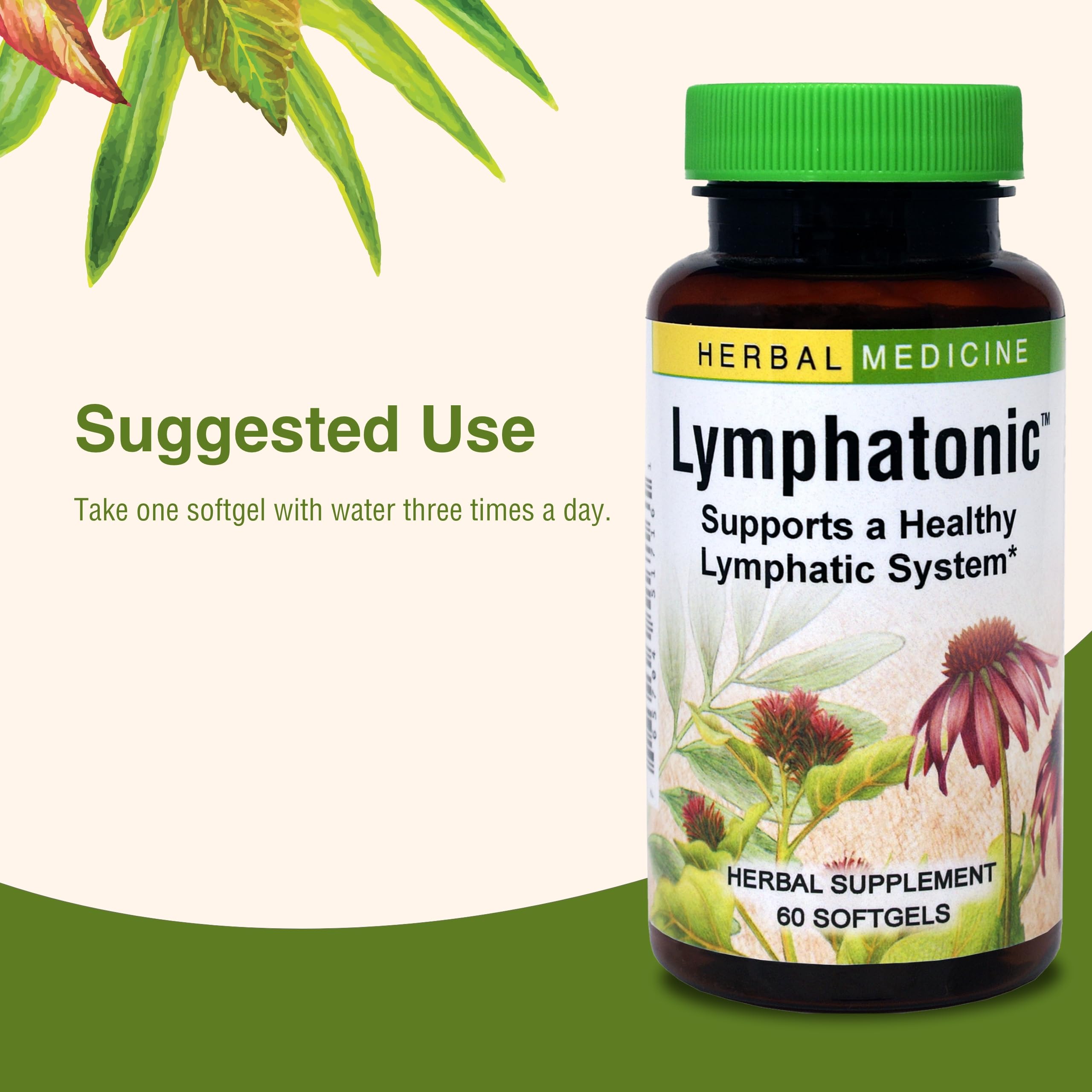 Herbs Etc Lymphatonic SG packaging emphasizing organic ingredients for a natural wellness routine