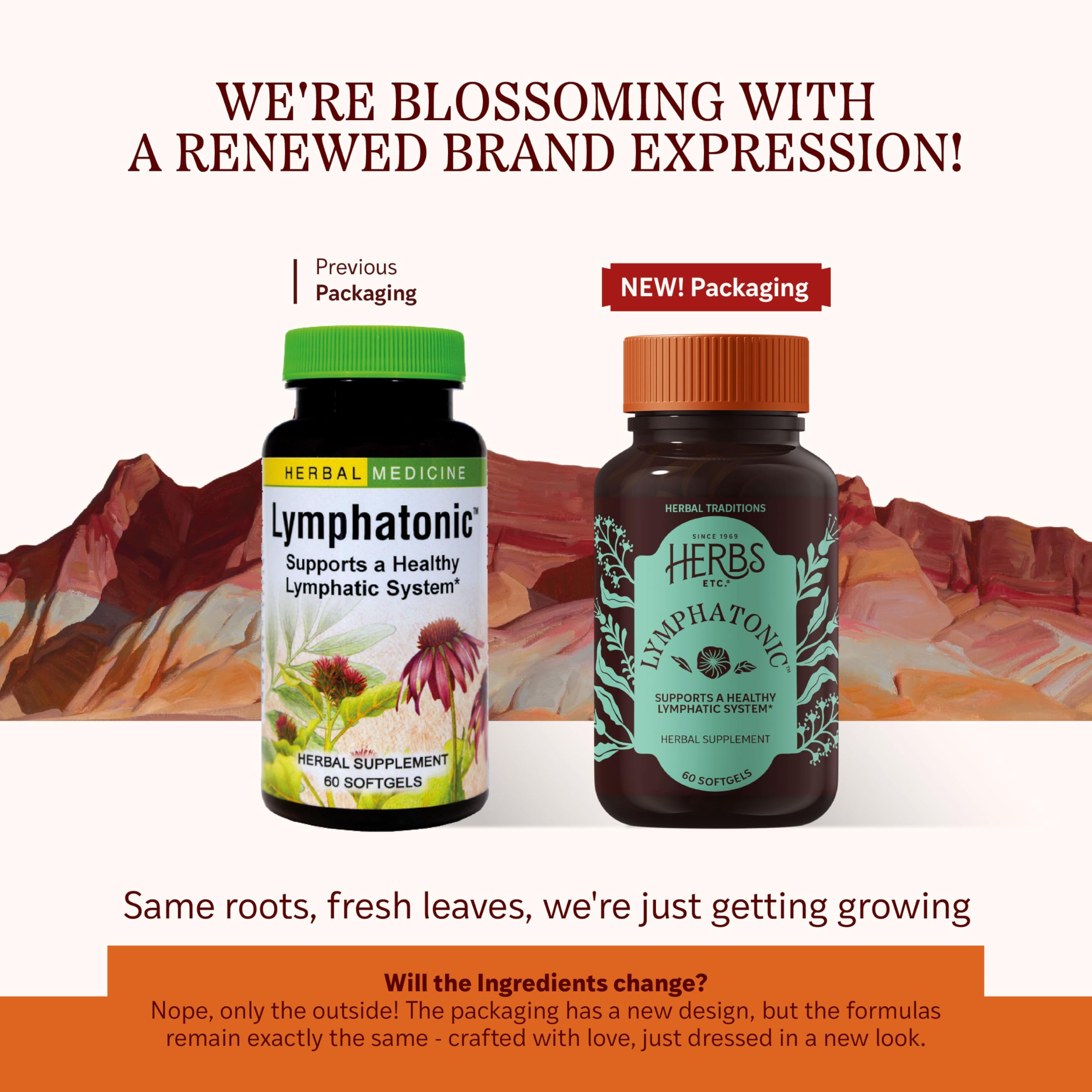 Herbs Etc Lymphatonic SG softgels close-up for easy daily use and consistent support