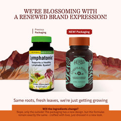 Herbs Etc Lymphatonic SG softgels close-up for easy daily use and consistent support