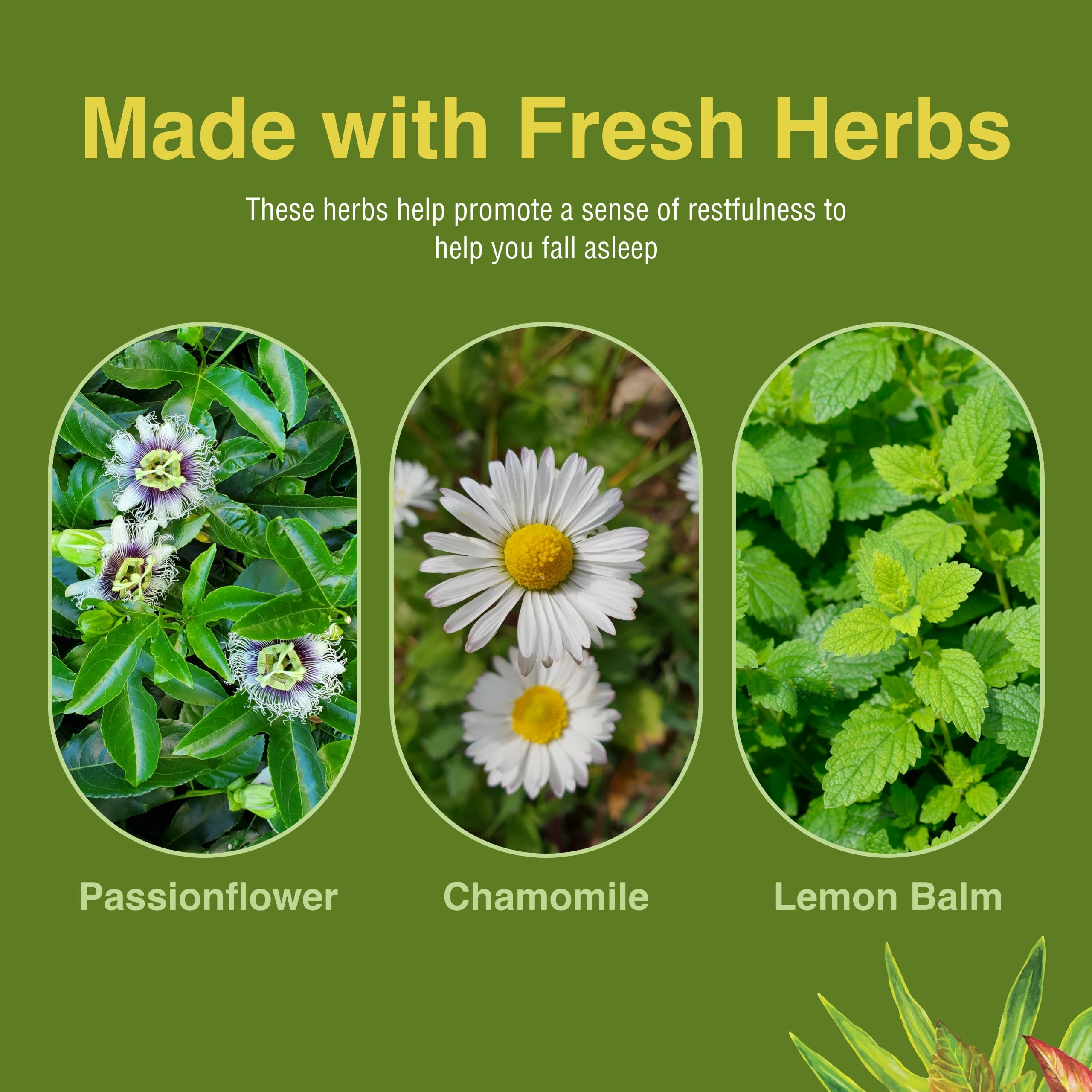 Herbs Etc Passionflower Chamomile Lemon Balm blend close-up for a relaxing herbal note