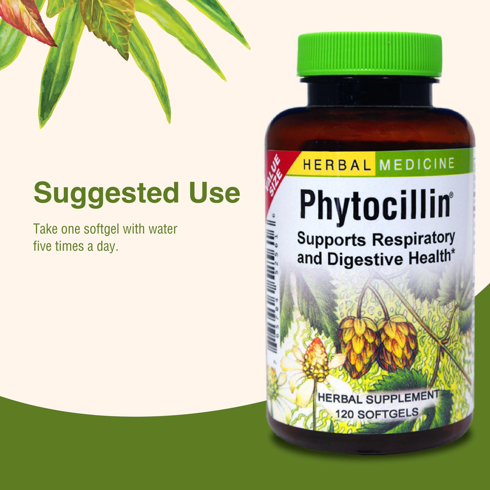 Herbs Etc Phytocillin bottle label closeup emphasizes product identity.