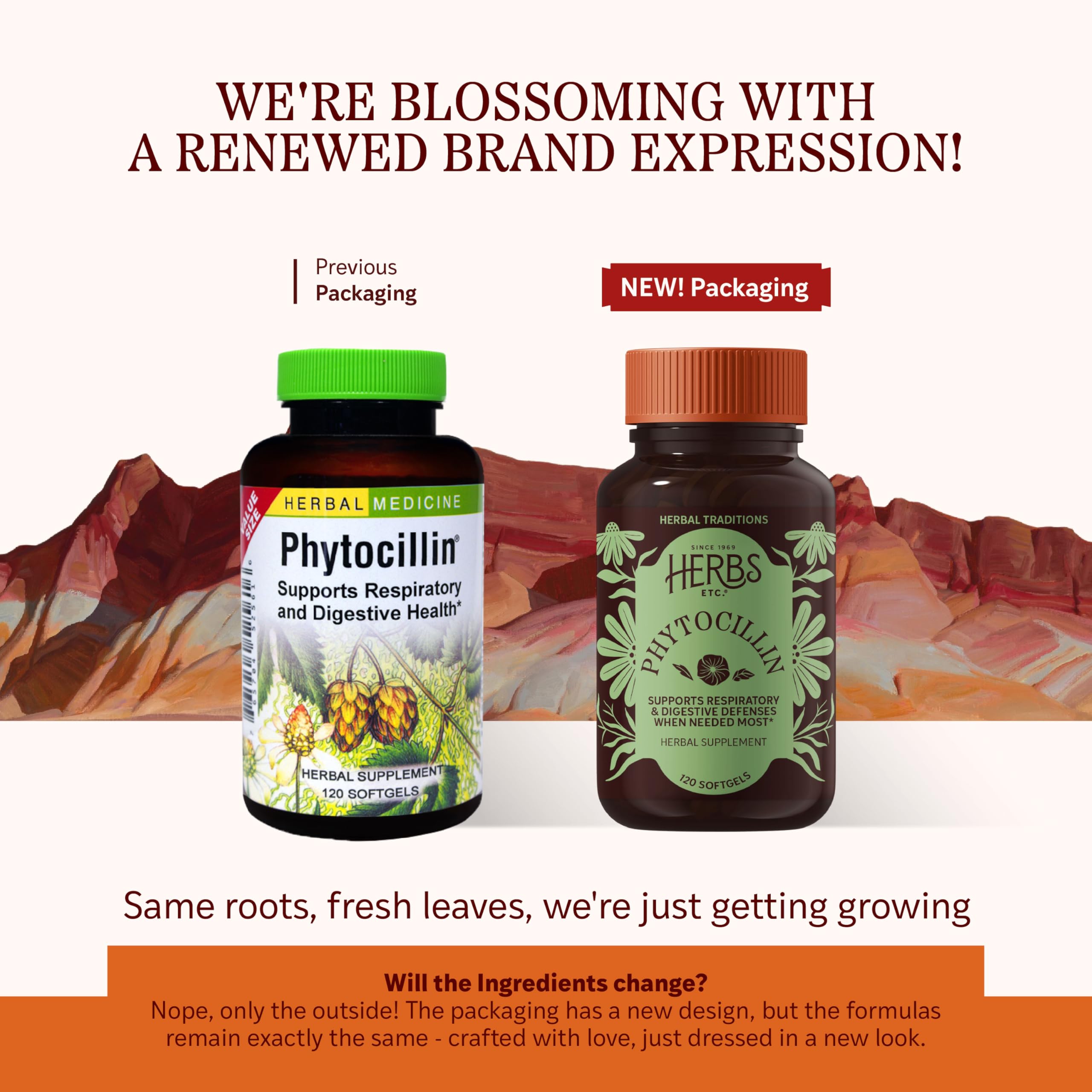 Herbs Etc Phytocillin softgel capsules highlight digestive health benefits.