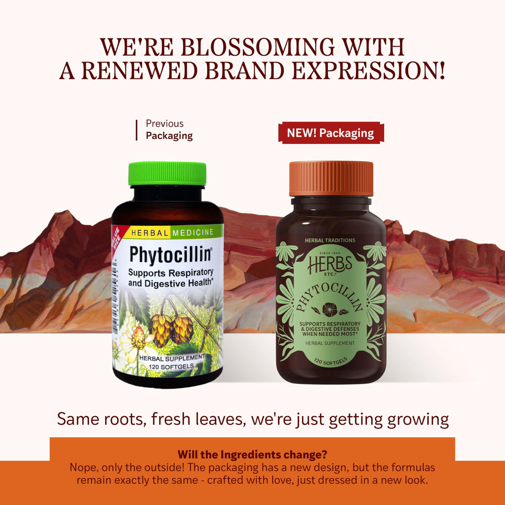 Herbs Etc Phytocillin softgel capsules highlight digestive health benefits.