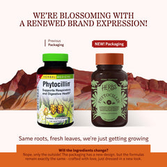 Herbs Etc Phytocillin softgel capsules highlight digestive health benefits.