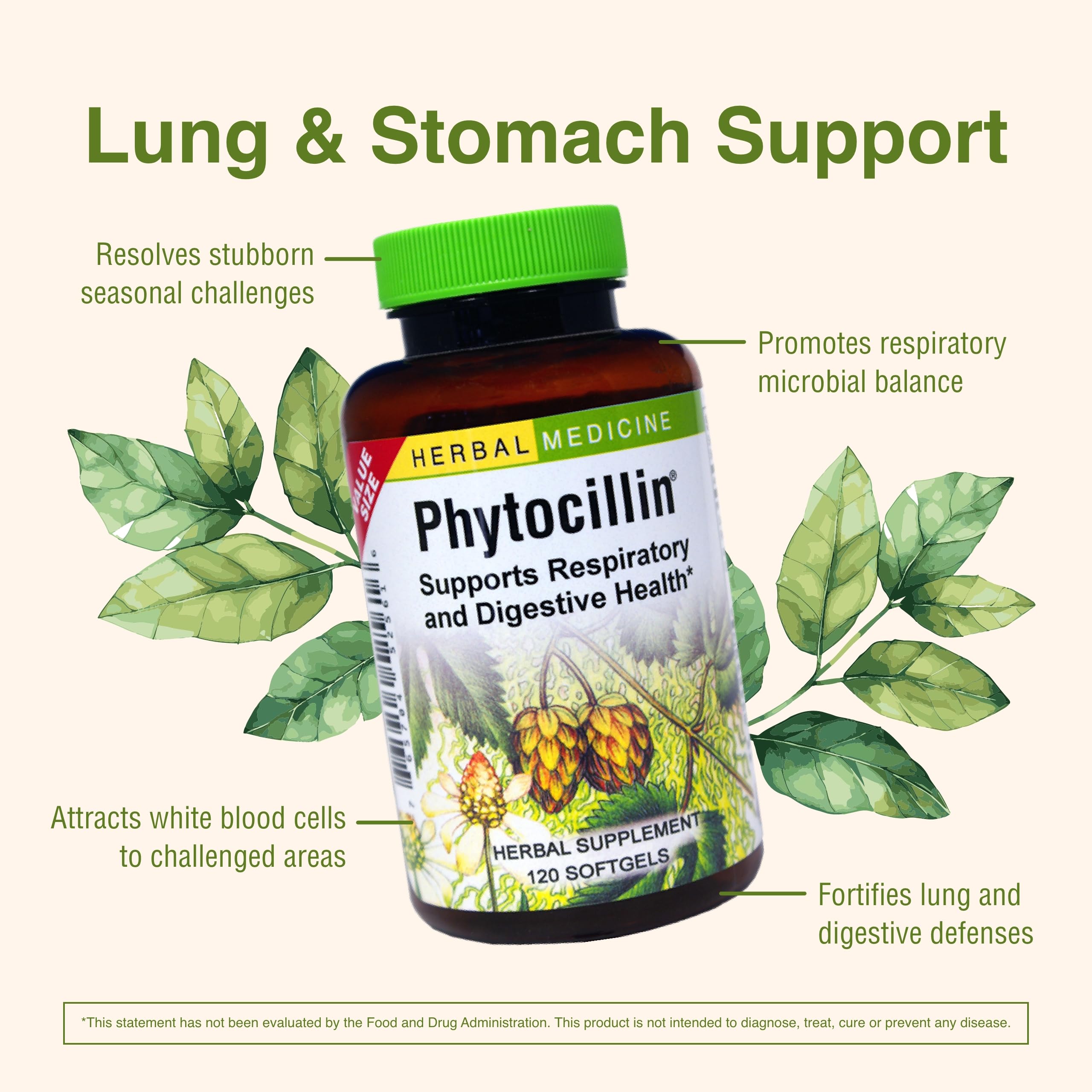 Herbs Etc Phytocillin echinacea angustifolia mix suggests immune-friendly herbal synergy.