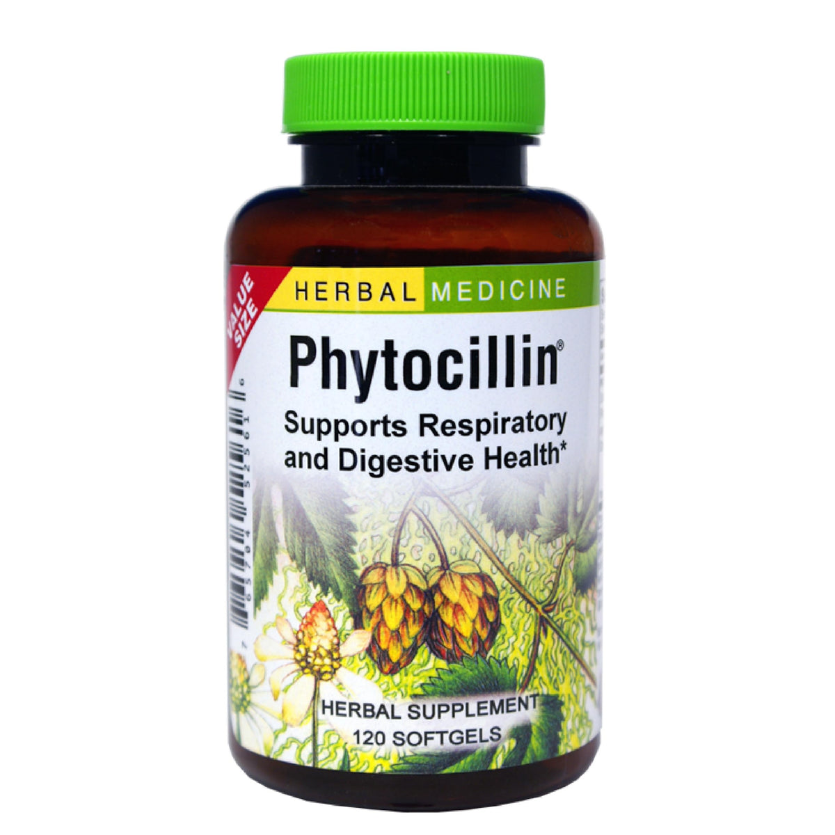 Herbs Etc Phytocillin softgel bottle supports respiratory comfort and digestion.