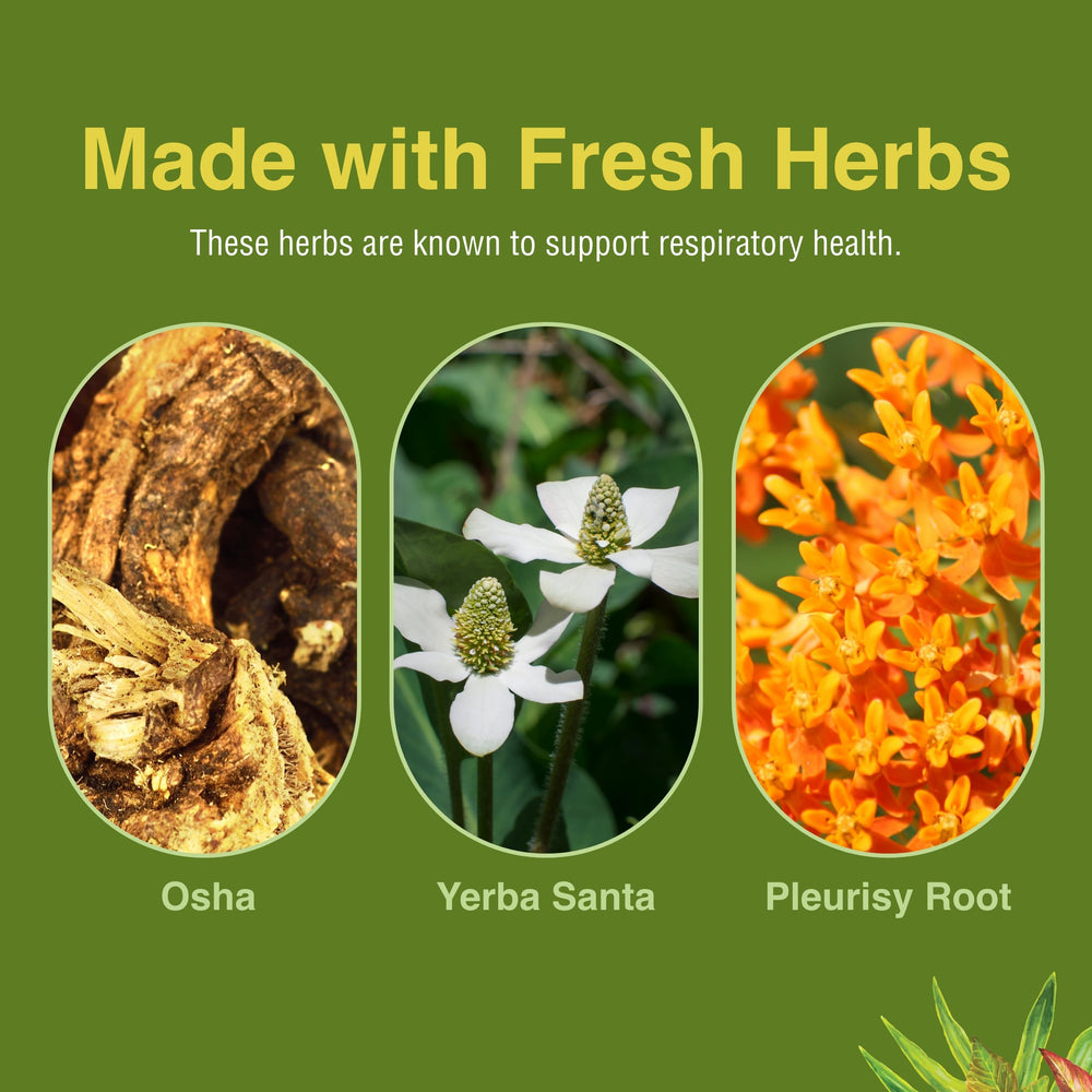 Herbs Etc. Respiratonic box and bottle shown together for routine use.