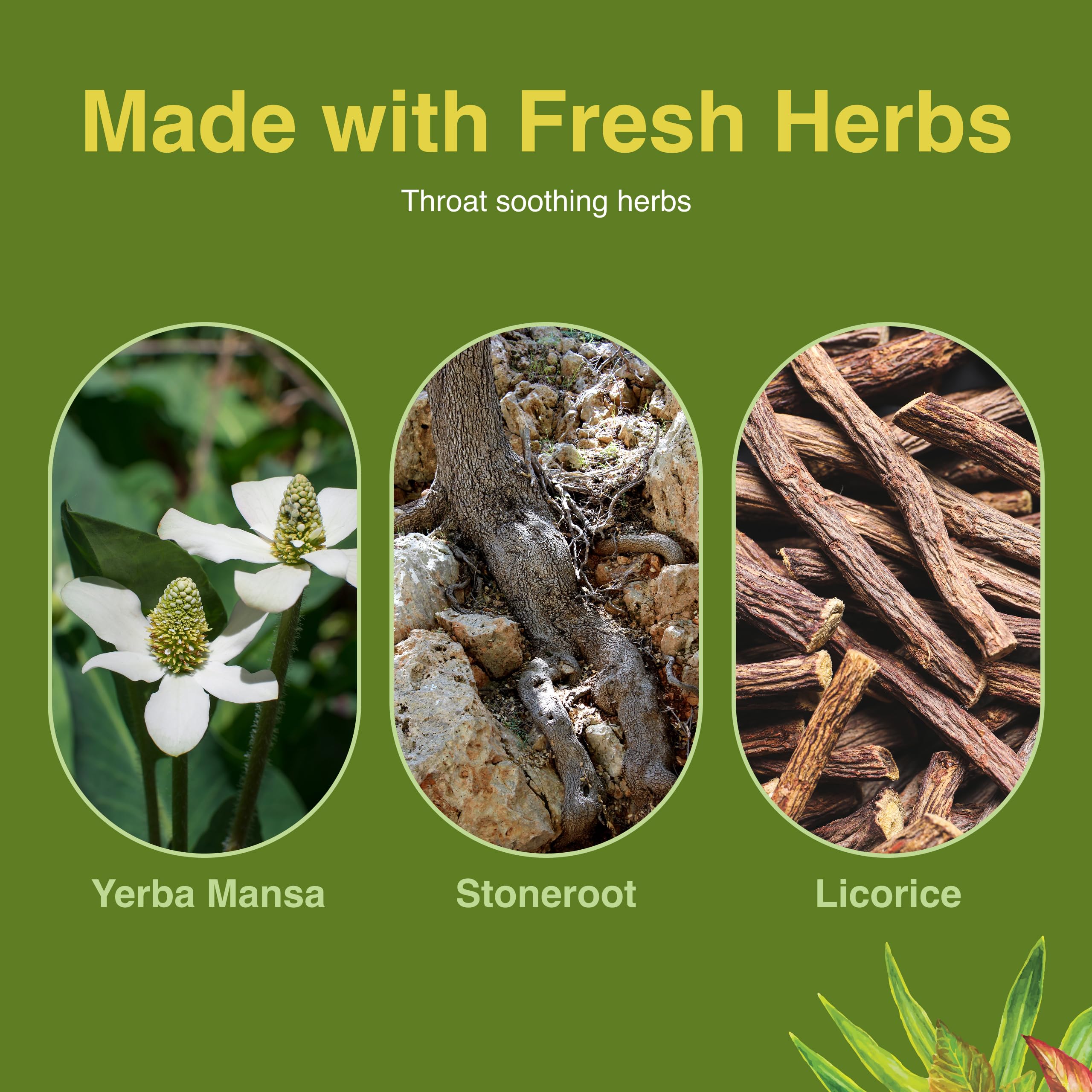 Herbs Etc. labeling and product details on the bottle